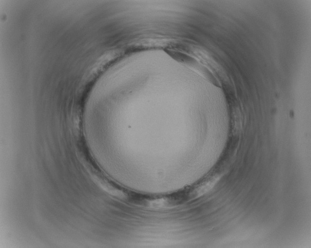 X0000078300309200611251515