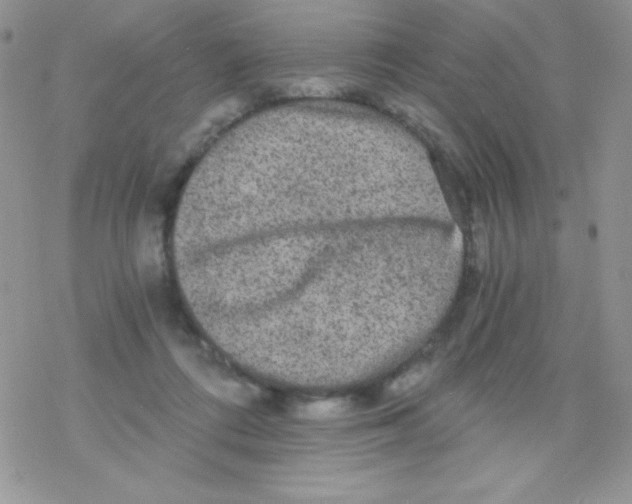 X0000078300312200611251515