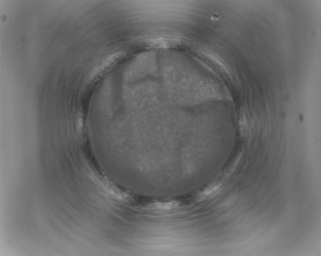 X0000078300314200611251515