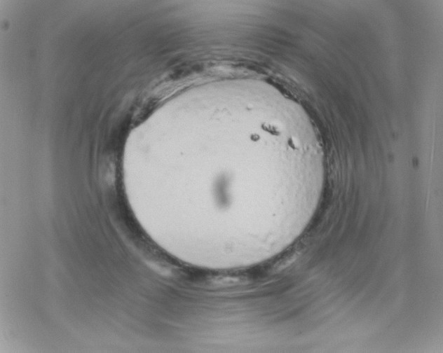 X0000078300315200611251515