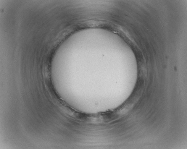 X0000078300317200611251515