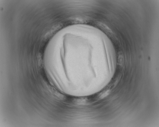 X0000078300318200611251515