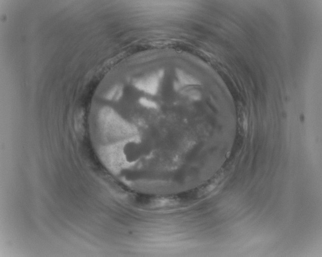 X0000078300319200611251515