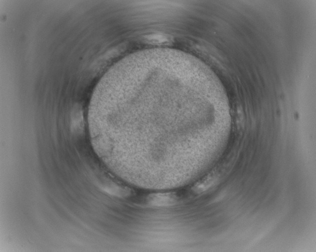 X0000078300320200611251515