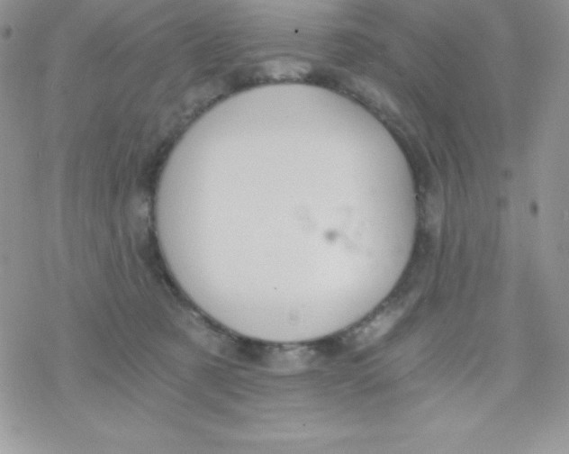 X0000078300321200611251515