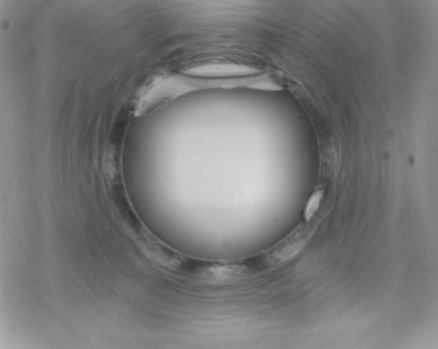 X0000078300323200611251515