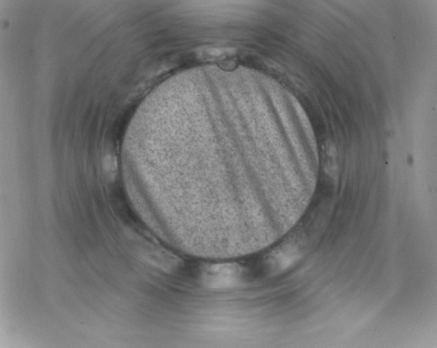 X0000078300324200611251515