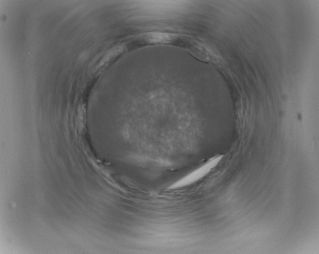 X0000078300325200611251515