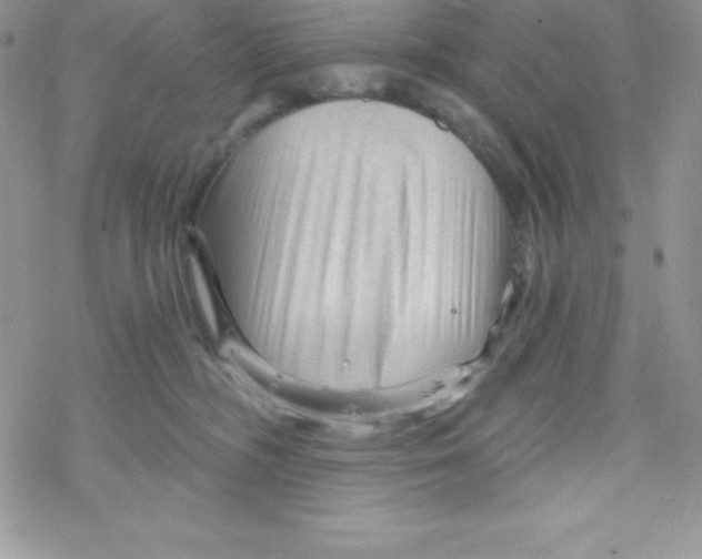 X0000078300326200611251515