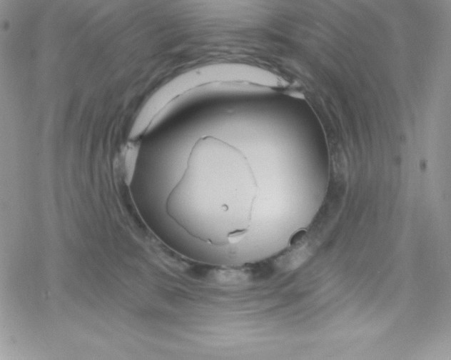 X0000078300327200611251515