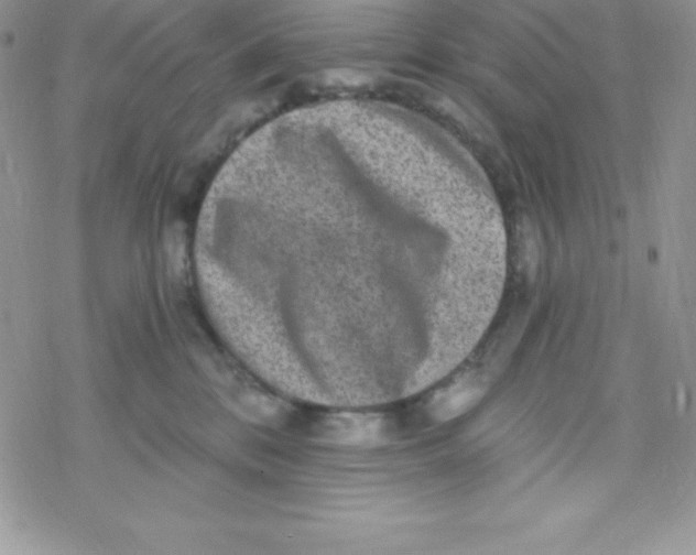 X0000078300328200611251515