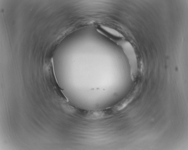 X0000078300329200611251515