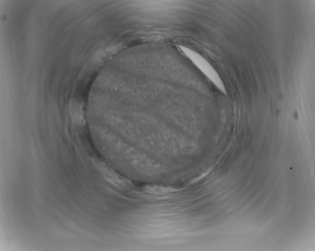 X0000078300331200611251515