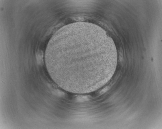 X0000078300332200611251515