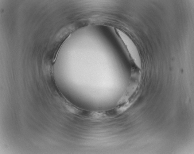 X0000078300333200611251515