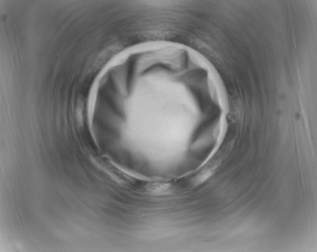 X0000078300334200611251515