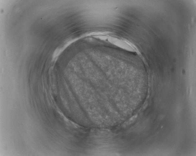 X0000078300337200611251514