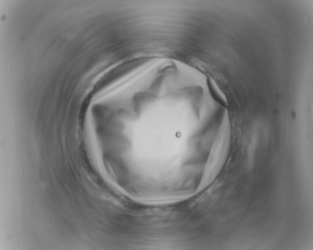 X0000078300338200611251514