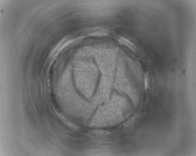 X0000078300339200611251514