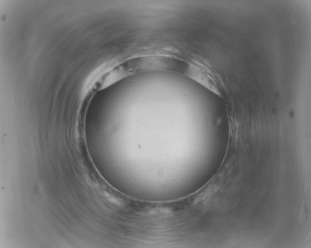 X0000078300340200611251514