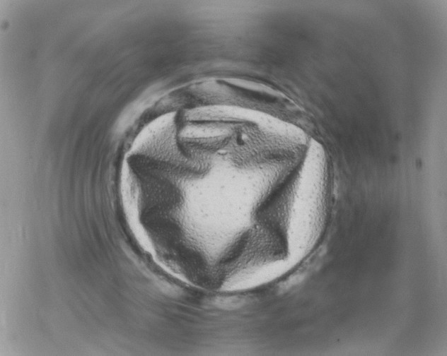 X0000078300341200611251514