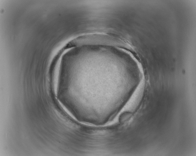 X0000078300342200611251514