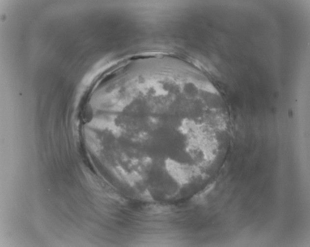 X0000078300343200611251514