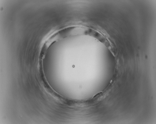 X0000078300344200611251514