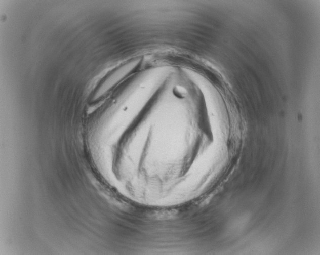 X0000078300345200611251514