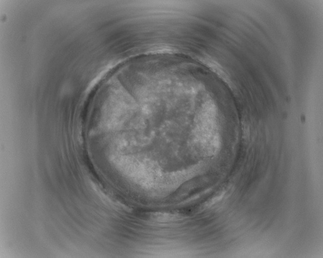 X0000078300347200611251514