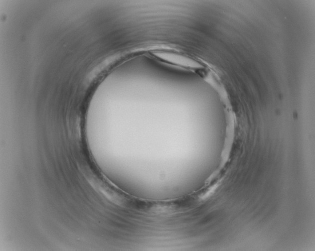 X0000078300350200611251514