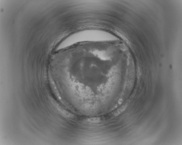 X0000078300353200611251514