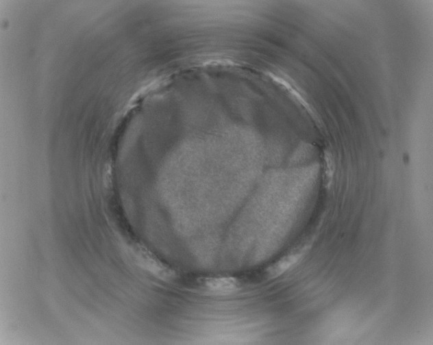 X0000078300355200611251514