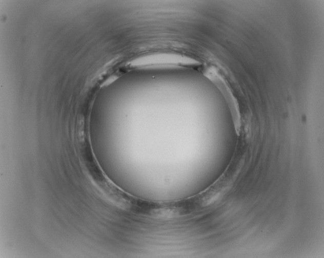 X0000078300356200611251514