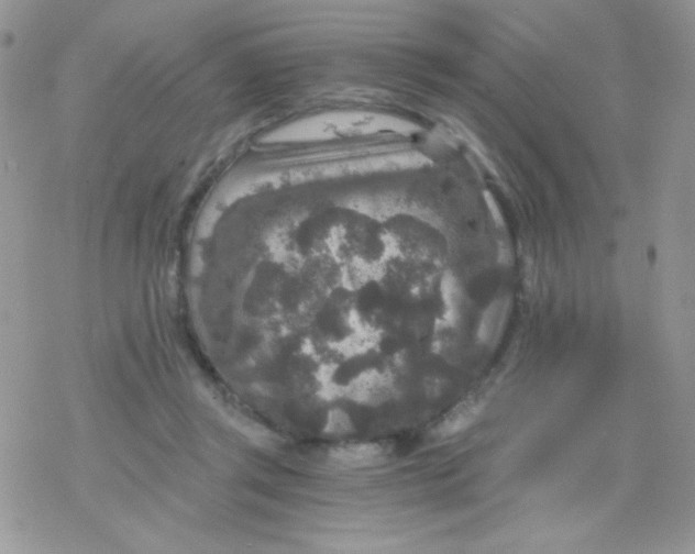 X0000078300357200611251514