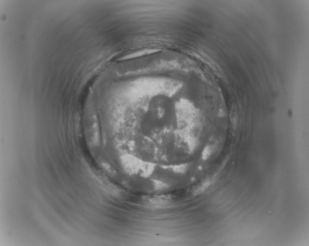 X0000078300359200611251514