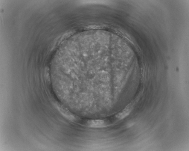 X0000078300361200611251514