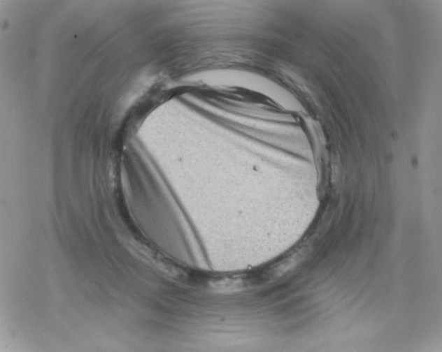 X0000078300362200611251514