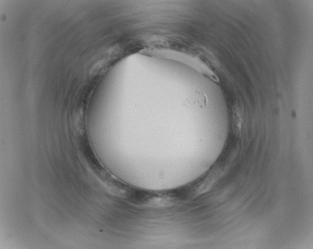 X0000078300364200611251514