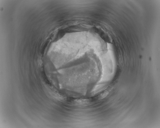 X0000078300367200611251514