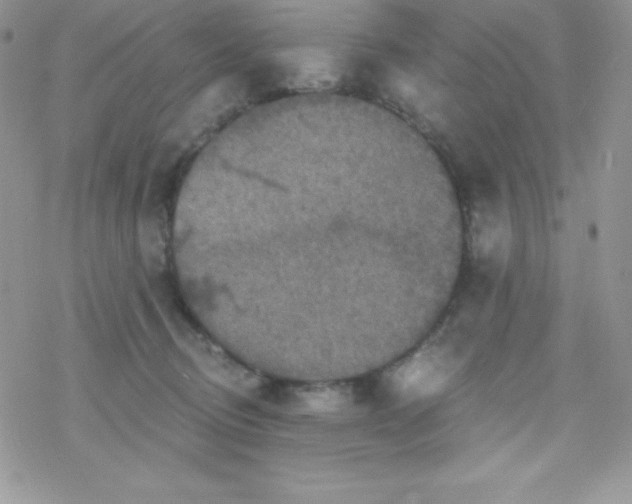 X0000078300370200611251514