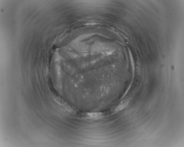 X0000078300371200611251514