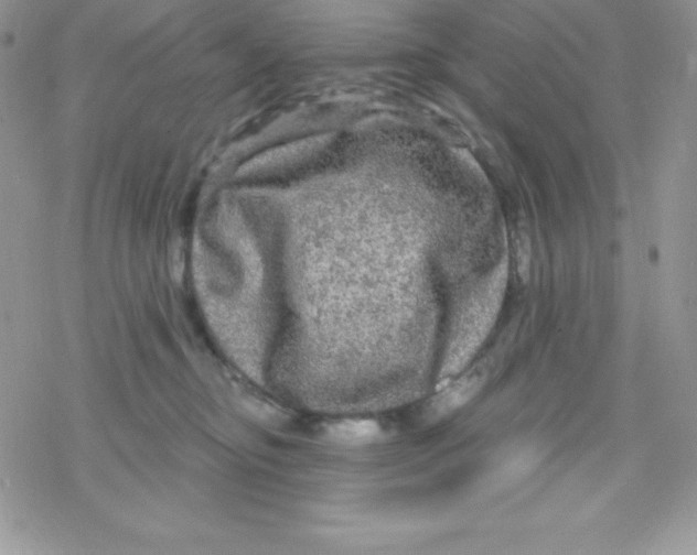 X0000078300374200611251514