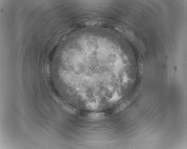 X0000078300375200611251514