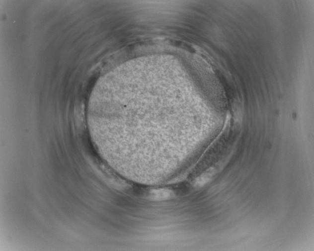 X0000078300376200611251514