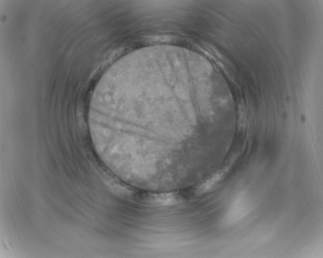 X0000078300377200611251514