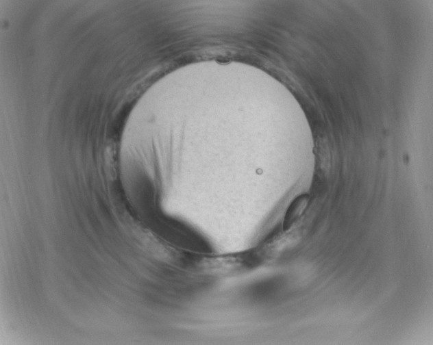 X0000078300378200611251514