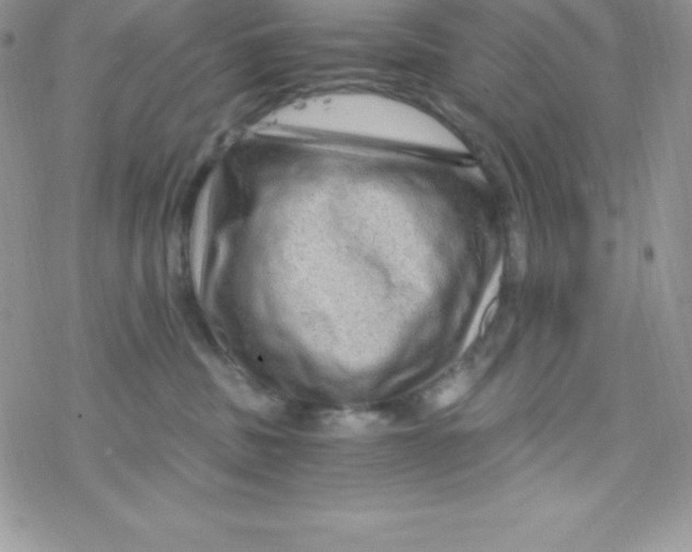 X0000078300379200611251514