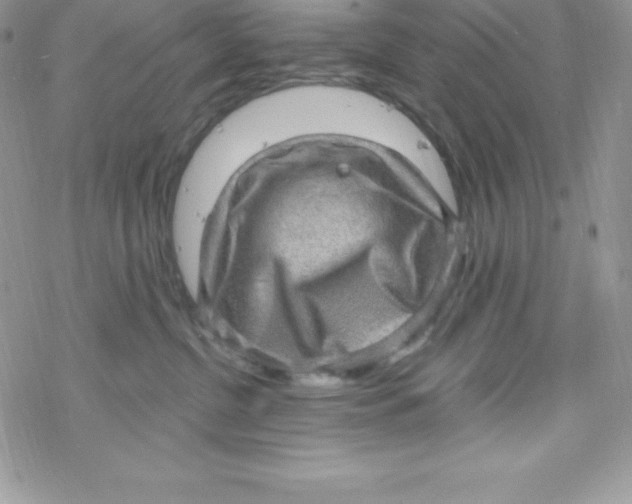 X0000078300380200611251514