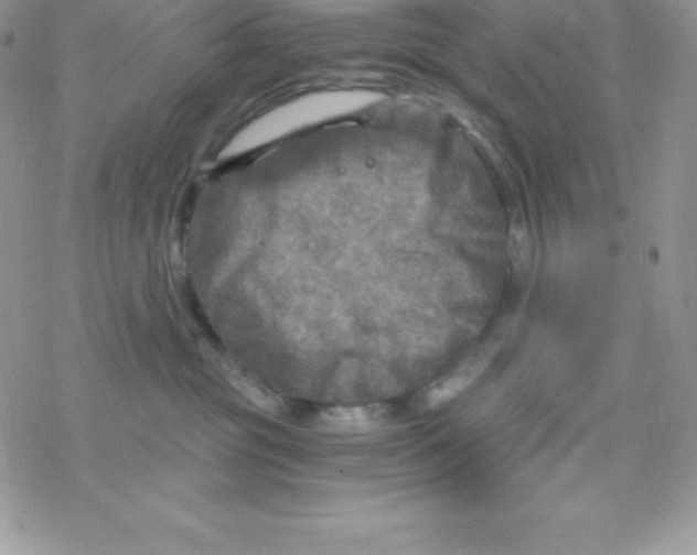 X0000078300381200611251514